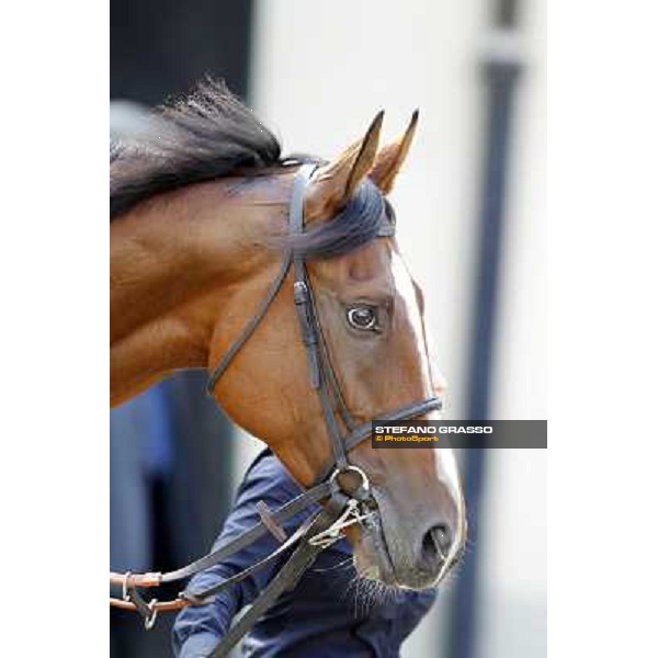 Fanunalter Milano - San Siro racetrack, 24th sept.2011 ph.Stefano Grasso