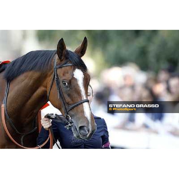 Fanunalter Milano - San Siro racetrack, 24th sept.2011 ph.Stefano Grasso