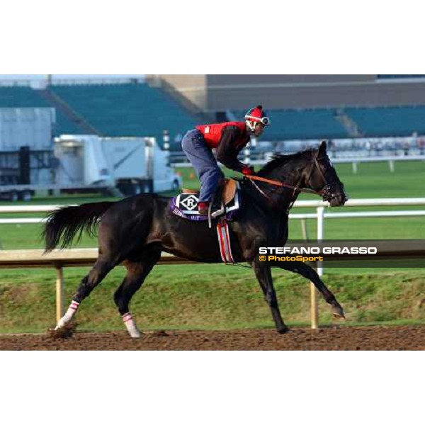 Roses in May during morning works at Lone Star Park Dallas, 28th october 2004 ph. Stefano Grasso