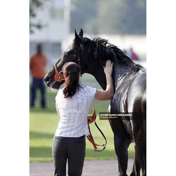 Dick Turpin returns home after winning the Premio Vittorio di Capua Milano - San Siro racetrack, 24th sept.2011 ph.Stefano Grasso