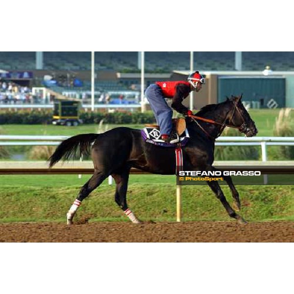 Roses in May during morning works at Lone Star Park Dallas, 28th october 2004 ph. Stefano Grasso