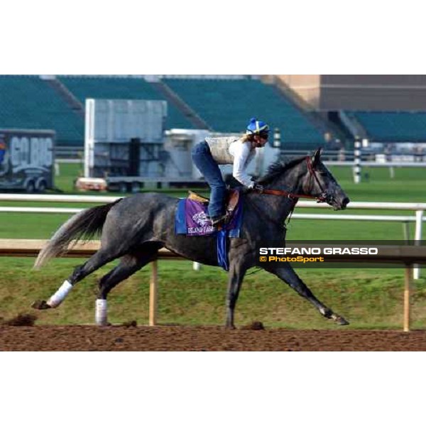 Island Fashion during morning works at Lone Star Park Dallas, 28th october 2004 ph. Stefano Grasso