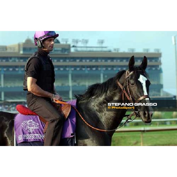 Six Perfection at Lone Star Park Dallas, 28th october 2004 ph. Stefano Grasso