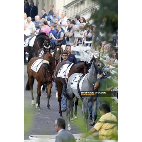The horses parade before the race Milano - San Siro racetrack, 24th sept.2011 ph.Stefano Grasso