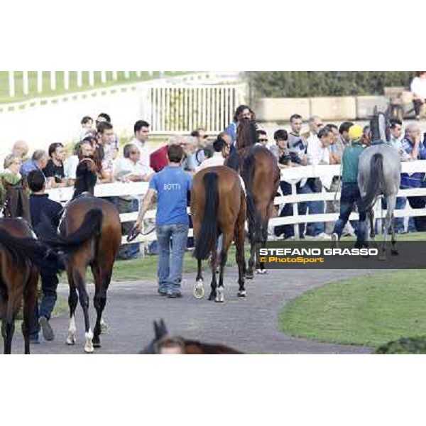 The horses parade before the race Milano - San Siro racetrack, 24th sept.2011 ph.Stefano Grasso