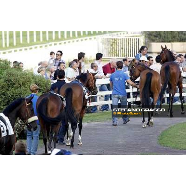 The horses parade before the race Milano - San Siro racetrack, 24th sept.2011 ph.Stefano Grasso
