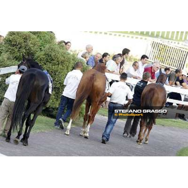 The horses parade before the race Milano - San Siro racetrack, 24th sept.2011 ph.Stefano Grasso