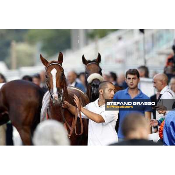 Choisir Shadow after winning the Premio Eupili Milano - San Siro racetrack, 24th sept.2011 ph.Stefano Grasso