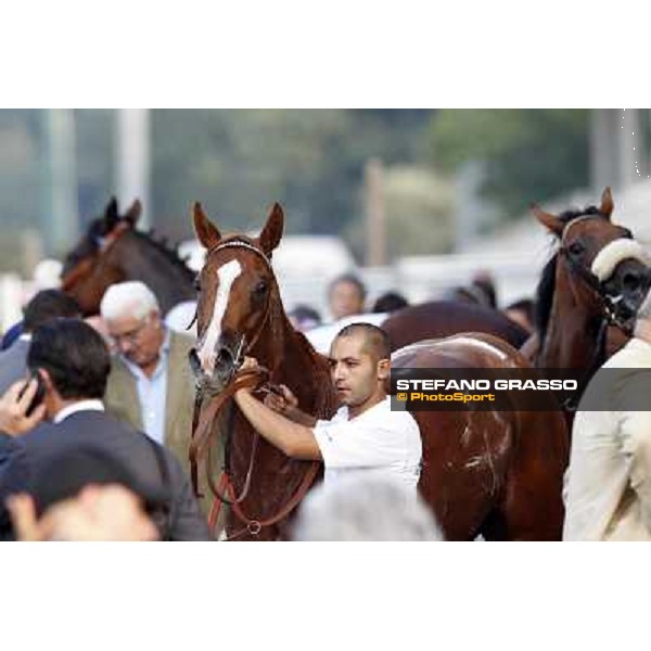 Choisir Shadow after winning the Premio Eupili Milano - San Siro racetrack, 24th sept.2011 ph.Stefano Grasso
