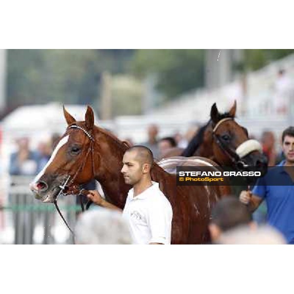 Choisir Shadow after winning the Premio Eupili Milano - San Siro racetrack, 24th sept.2011 ph.Stefano Grasso