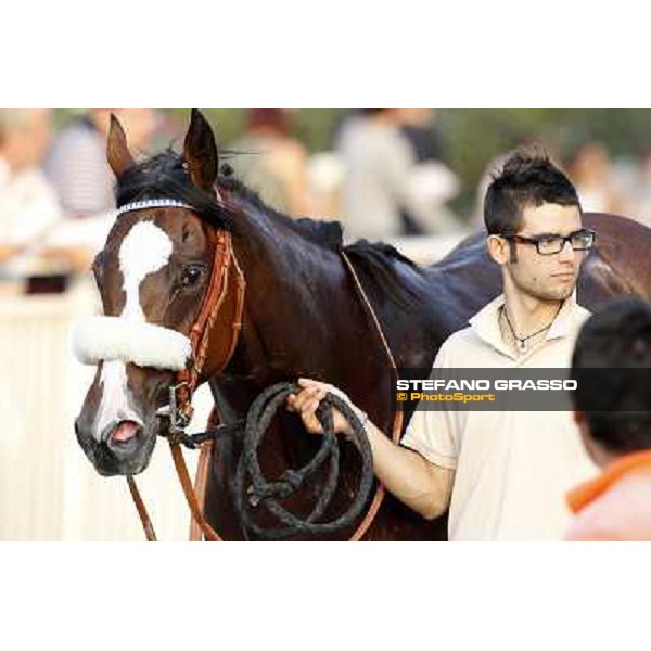 Noble Fantasy, 3rd in the Premio Eupili Milano - San Siro racetrack, 24th sept.2011 ph.Stefano Grasso