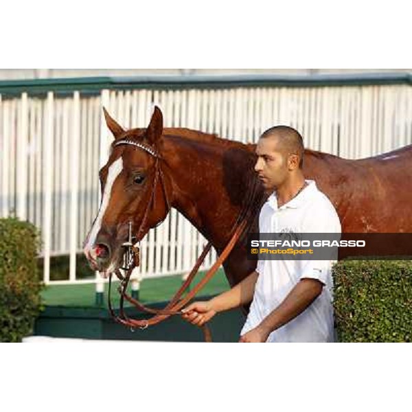 Choisir Shadow after winning the Premio Eupili Milano - San Siro racetrack, 24th sept.2011 ph.Stefano Grasso