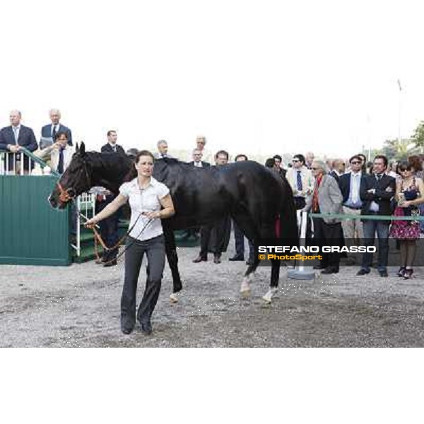 Dick Turpin after winning the Premio Vittorio di Capua Milano - San Siro racetrack, 24th sept.2011 ph.Stefano Grasso