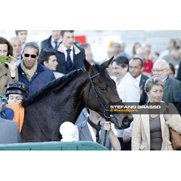 Martin Dwyer and Nayarra after winning the Gran Criterium Milano - San Siro racetrack, 9th oct. 2011 ph.Stefano Grasso