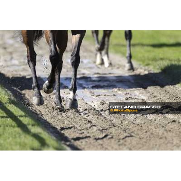 Milano - San Siro racetrack, 9th oct. 2011 ph.Stefano Grasso