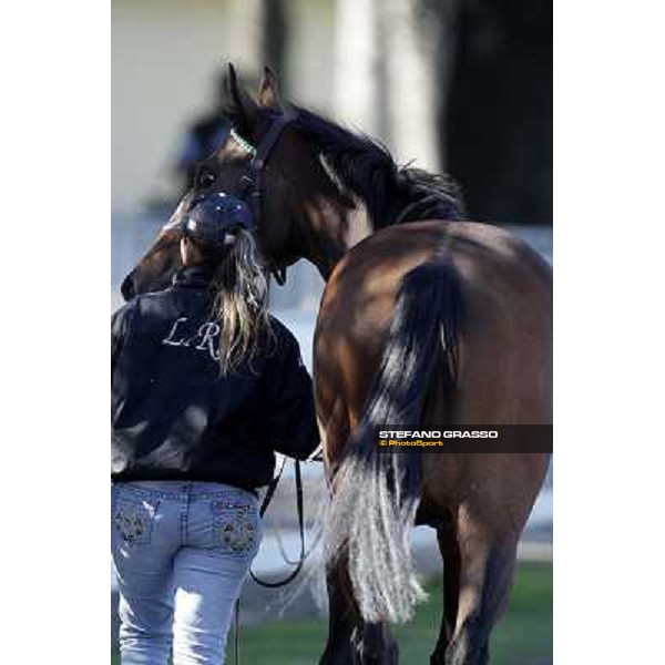 Extra Milano - San Siro racetrack, 9th oct. 2011 ph.Stefano Grasso