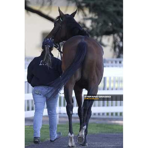Extra Milano - San Siro racetrack, 9th oct. 2011 ph.Stefano Grasso