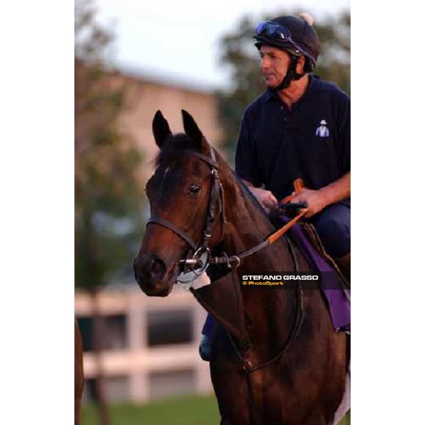 Ouija Board during morning works at Lone Star Park Dallas, 28th october 2004 ph. Stefano Grasso