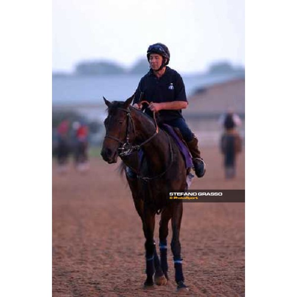 Ouija Board during morning works at Lone Star Park Dallas, 28th october 2004 ph. Stefano Grasso