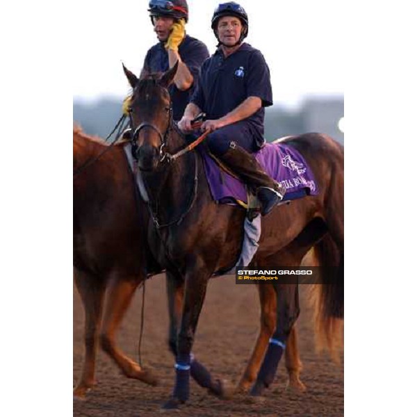 Ouija Board during morning works at Lone Star Park Dallas, 28th october 2004 ph. Stefano Grasso
