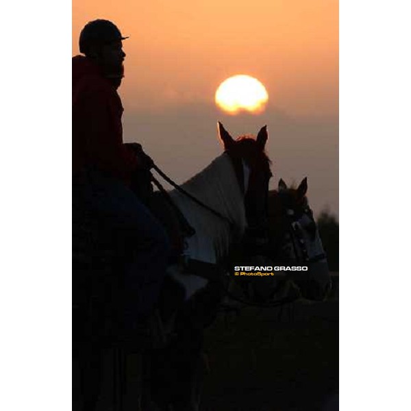 morning track works at Lone Star Park Dallas, 28th october 2004 ph. Stefano Grasso