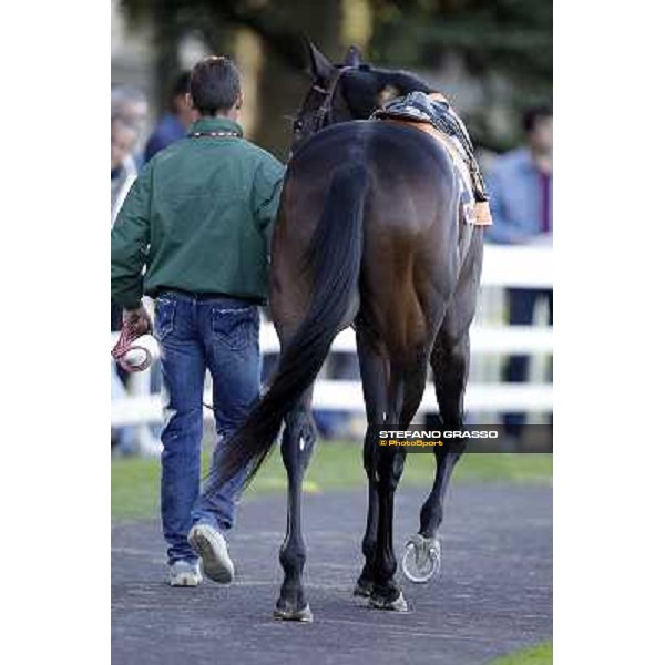 close up for Vedelago Milano - San Siro racetrack, 9th oct. 2011 ph.Stefano Grasso