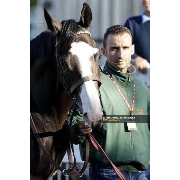 close up for Vedelago Milano - San Siro racetrack, 9th oct. 2011 ph.Stefano Grasso