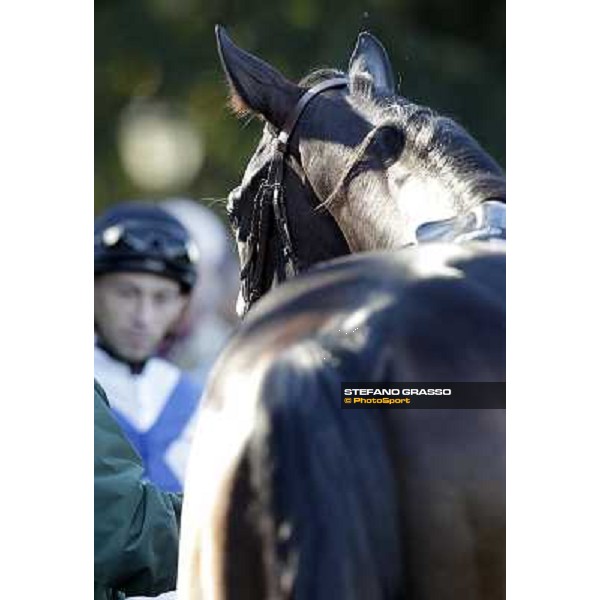 close up for Vedelago Milano - San Siro racetrack, 9th oct. 2011 ph.Stefano Grasso