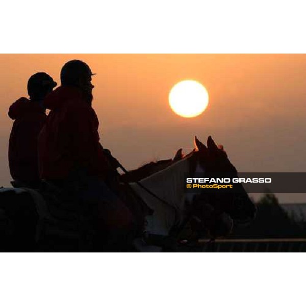 morning track works at Lone Star Park Dallas, 28th october 2004 ph. Stefano Grasso