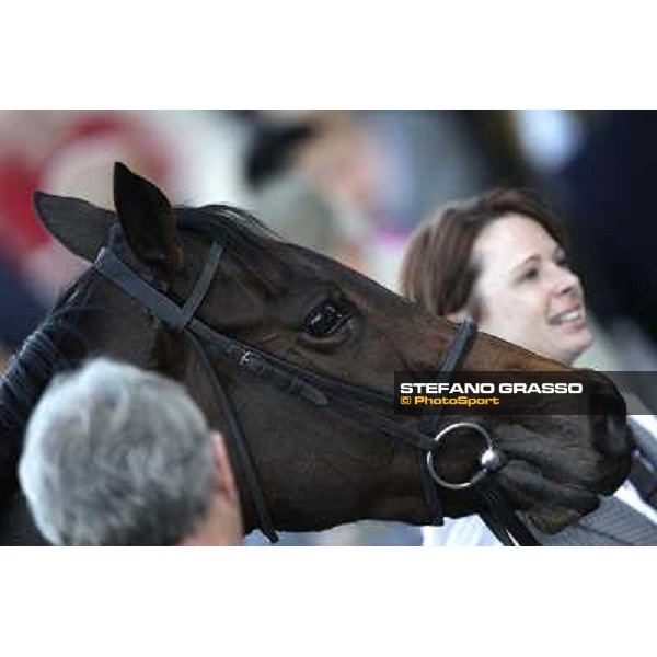 Nayarra after the finish of the Gran Criterium Milano - San Siro racetrack, 9th oct. 2011 ph.Stefano Grasso