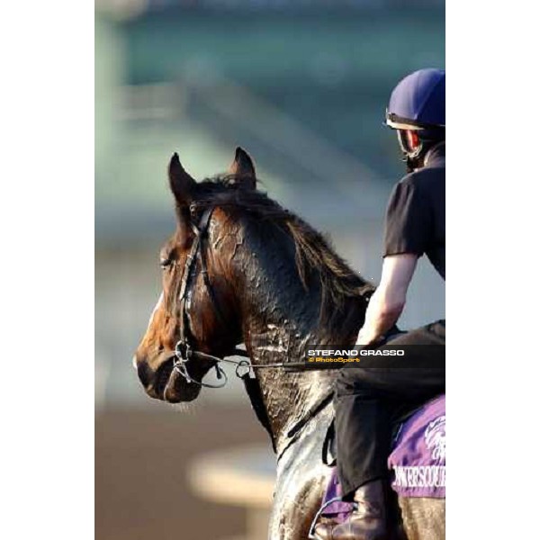 Powerscoourt and Jamie Spencer during morning works at Lone Star Park Dallas, 28th october 2004 ph. Stefano Grasso