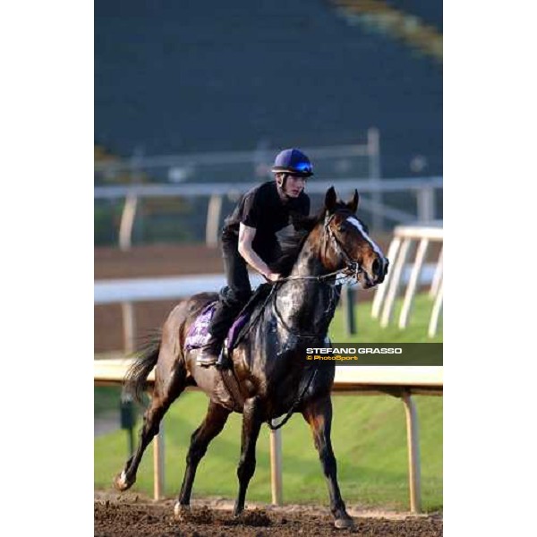 Powerscoourt during morning works at Lone Star Park Dallas, 28th october 2004 ph. Stefano Grasso