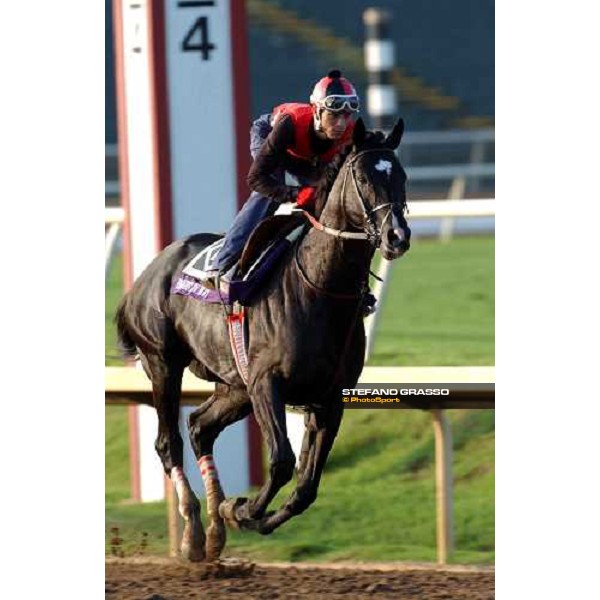 Roses in May at Lone Star Park Dallas, 28th october 2004 ph. Stefano Grasso