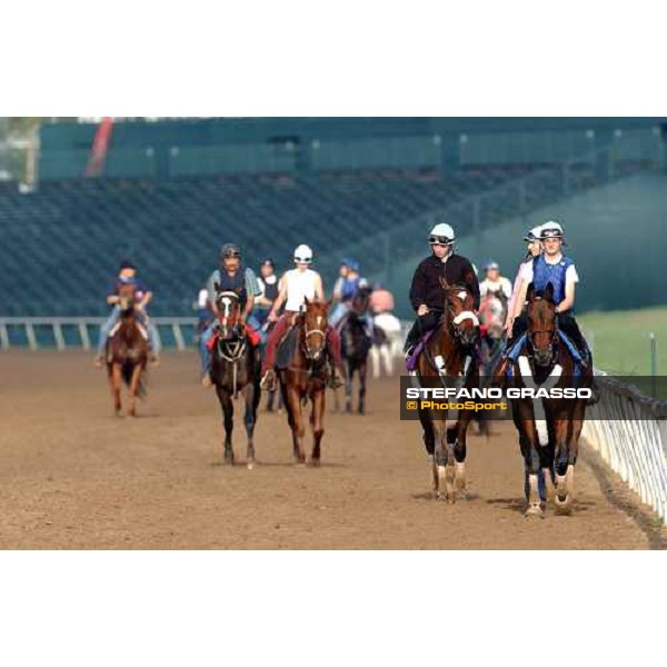 morning track works at Lone Star Park Dallas, 28th october 2004 ph. Stefano Grasso