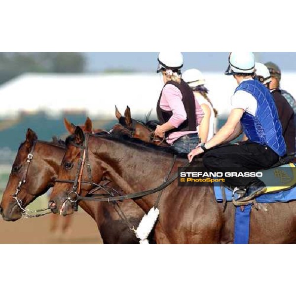 morning track works at Lone Star Park Dallas, 28th october 2004 ph. Stefano Grasso