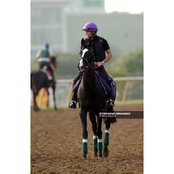 Six Perfections and Patrick Lemagny at Lone Star Park Dallas, 28th october 2004 ph. Stefano Grasso
