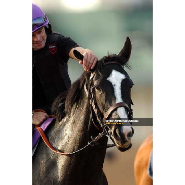 Six Perfections and Patrick Lemagny at Lone Star Park Dallas, 28th october 2004 ph. Stefano Grasso
