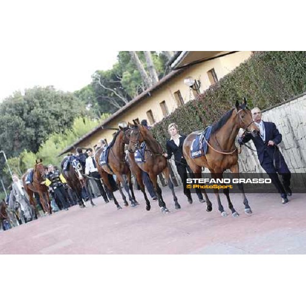The Horses of the Premio Lydia Tesio Longines enter the paddock Rome, 23rd oct. 2011 ph.Stefano Grasso
