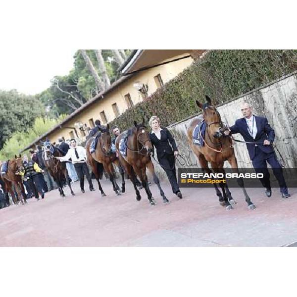 The Horses of the Premio Lydia Tesio Longines enter the paddock Rome, 23rd oct. 2011 ph.Stefano Grasso