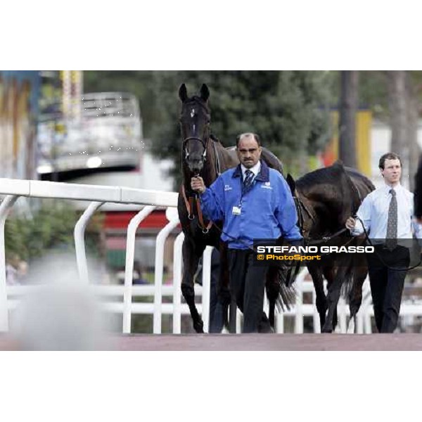 Modeyra walking before the Premio Lydia Tesio Longines Rome, 23rd oct. 2011 ph.Stefano Grasso
