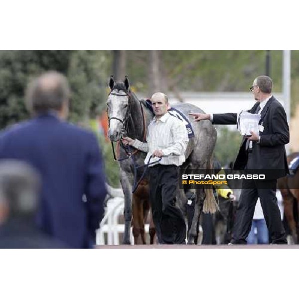 Shamal Sally walking before the start of the Premio Lydia Tesio Longines Rome, 23rd oct. 2011 ph.Stefano Grasso