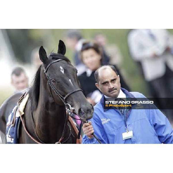 Modeyra walking before the Premio Lydia Tesio Longines Rome, 23rd oct. 2011 ph.Stefano Grasso