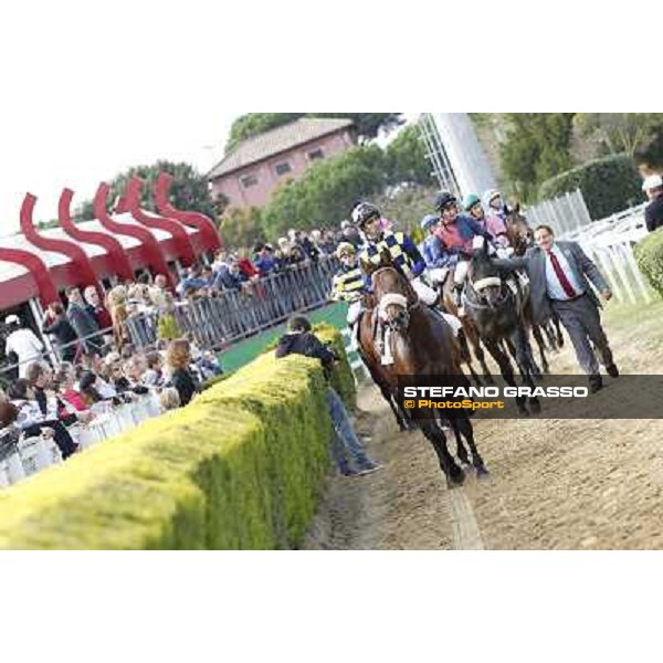 Fabio Branca on Douce Vie returns home after the 2nd place in the Premio Nearco Rome, 23rd oct. 2011 ph.Stefano Grasso