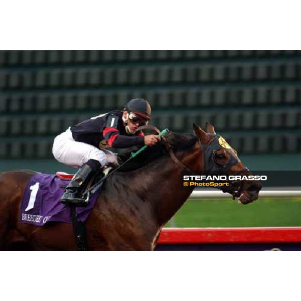 Javier Castellano with Ghostzapper on the line of Breeders\' Cup Classic Lone Star PArk, Dallas 30th october 2004 ph. Stefano Grasso