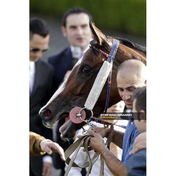 the winning connection of Premio Ubaldo Pandolfi won by Umberto Rispoli on Star Kodiak Rome, 23rd oct. 2011 ph.Stefano Grasso