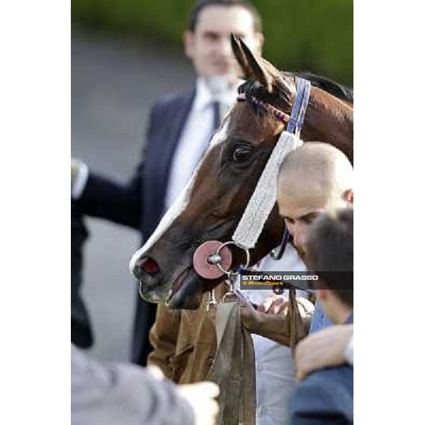 the winning connection of Premio Ubaldo Pandolfi won by Umberto Rispoli on Star Kodiak Rome, 23rd oct. 2011 ph.Stefano Grasso