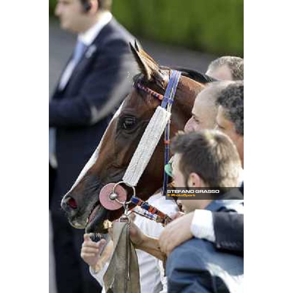 the winning connection of Premio Ubaldo Pandolfi won by Umberto Rispoli on Star Kodiak Rome, 23rd oct. 2011 ph.Stefano Grasso