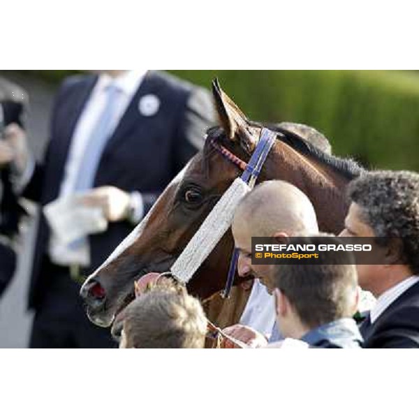 the winning connection of Premio Ubaldo Pandolfi won by Umberto Rispoli on Star Kodiak Rome, 23rd oct. 2011 ph.Stefano Grasso
