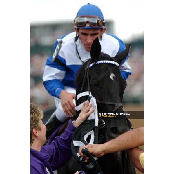 close up for Better Talk Now winner of Jonh Deere Breeders\' Cup Turf Dallas 30th october 2004 ph. Stefano Grasso