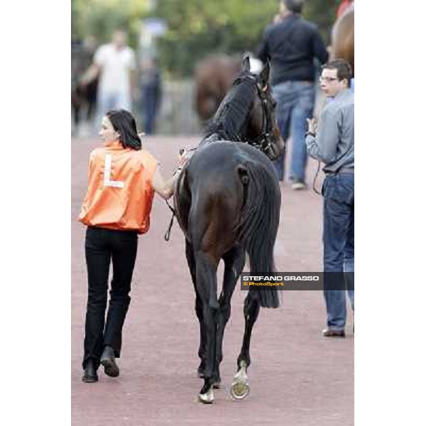 Tesey returns home after winning the Premio Conte Felice Scheibler Rome, 23rd oct. 2011 ph.Stefano Grasso